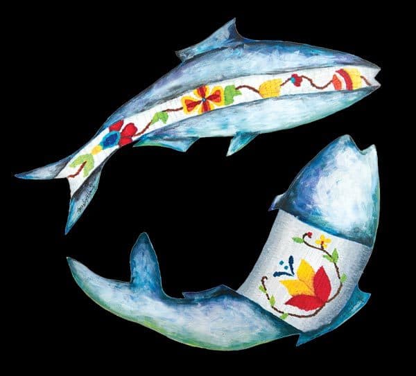 shad illustration