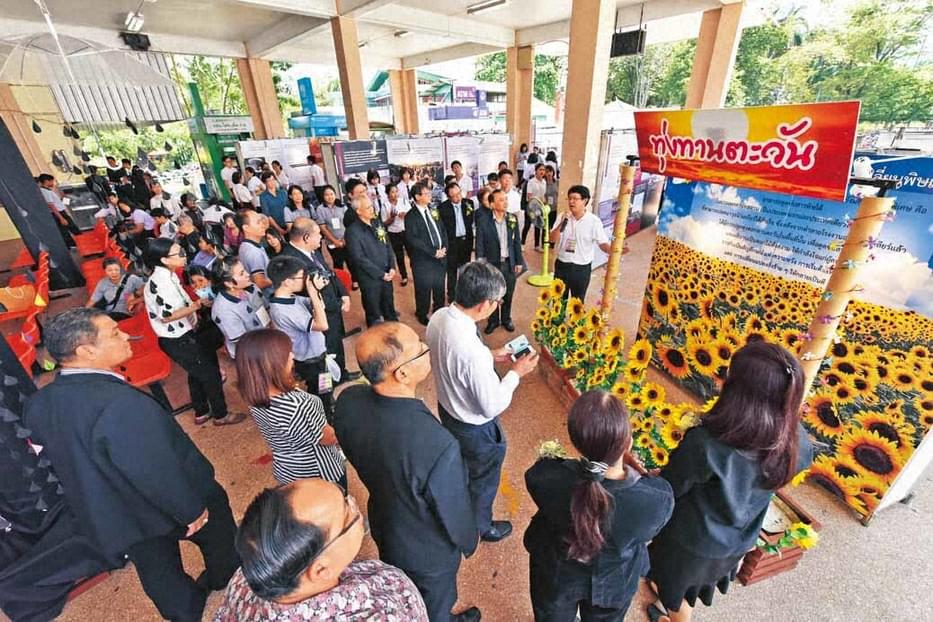 Large group people gather for exhibition opening infant of panels of sunflowers