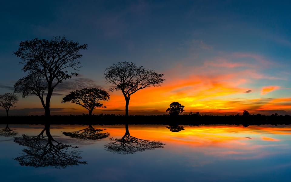 Acacia trees silhouetted against a setting sun reflection on water.