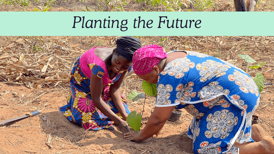 SGI Action for Peace- Reforestation Project Highlighted at ...