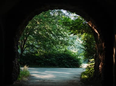 A view from a tunnel looking out onto trees and other greenery