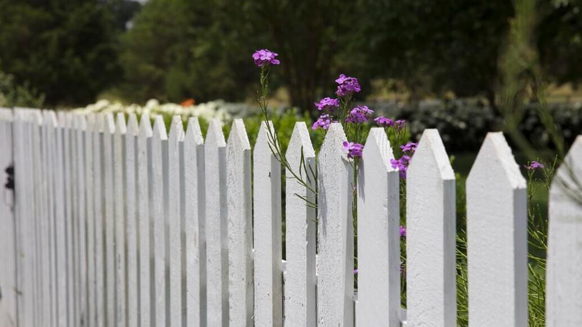 Painting A Garden Fence - The Ultimate Guide