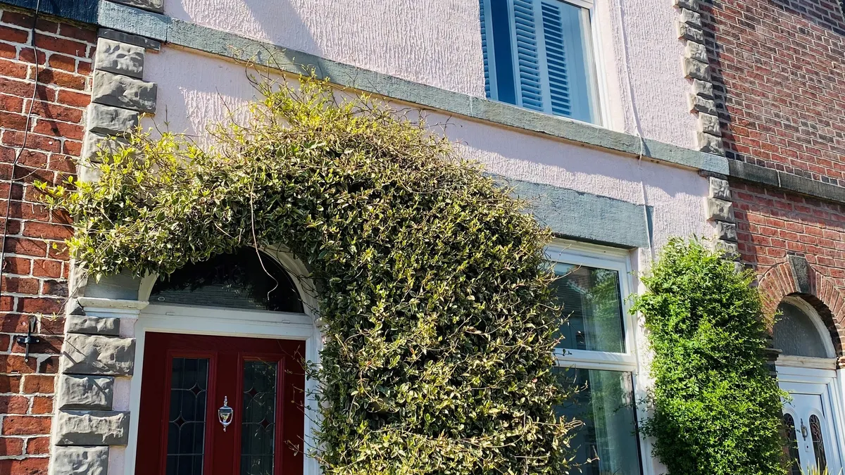 Masonry Paint Colours - The Ultimate Guide Price Comparisons | Compare The Build