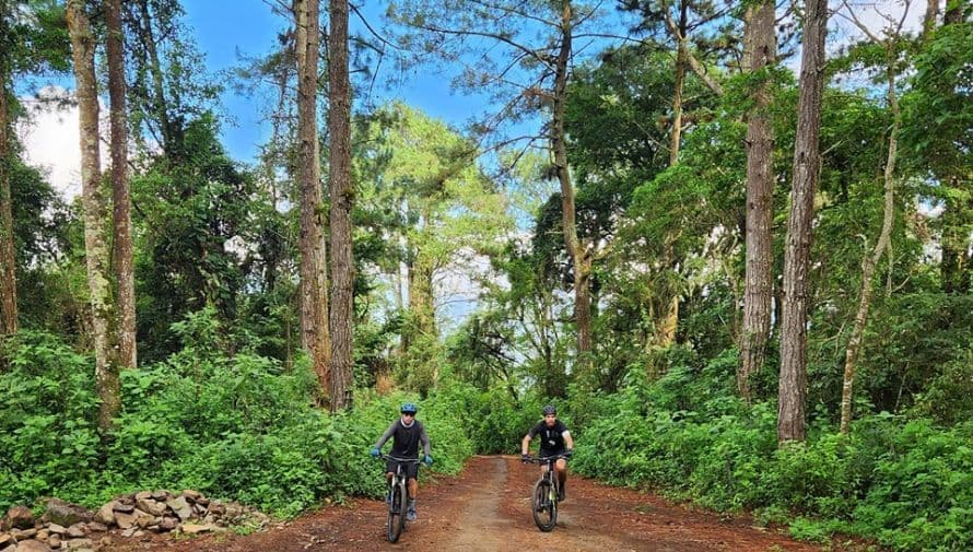 Carmona Trails