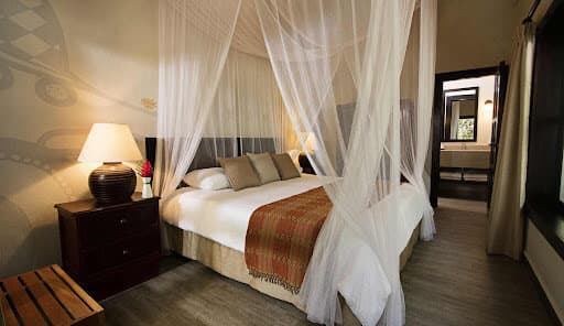 Tikal Hotel Jungle Lodge Room