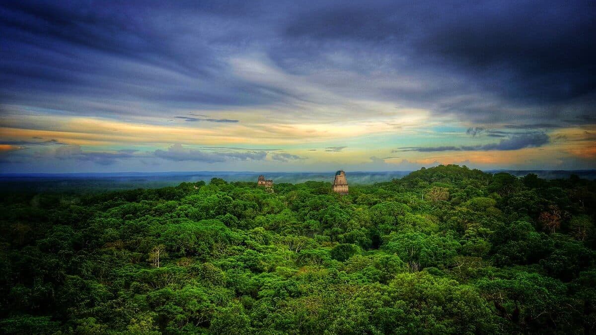 Tikal Jungle Sunset