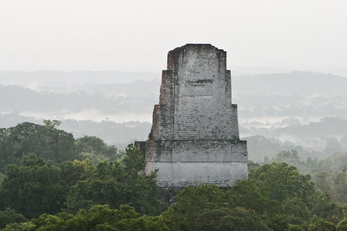 Tikal Jungle Temple