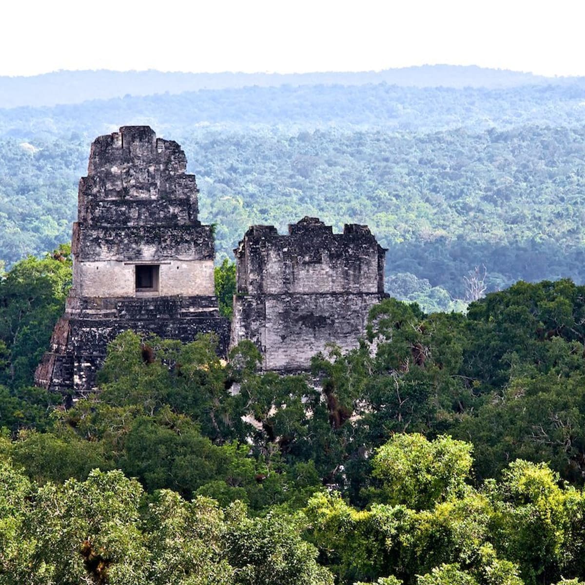 Tikal Mayan Ruins Jungle view from custom Guatemala tour