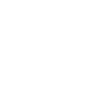Norfolk Director