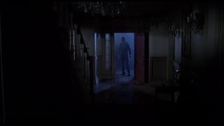 The Amityville Horror1