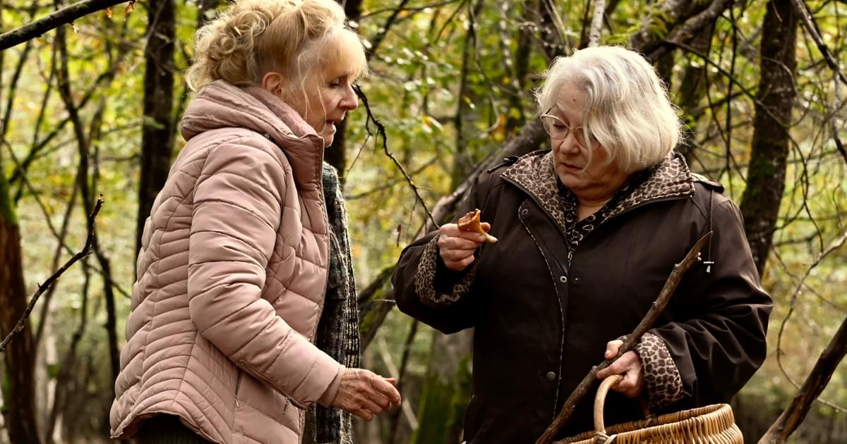 Coming Fall 2003 When Fall Is Coming | Film Streams