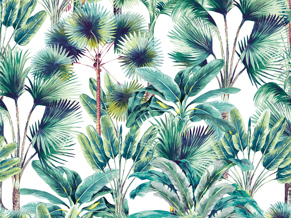 BOTANICA 8155