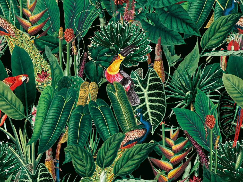 BOTANICA 8160