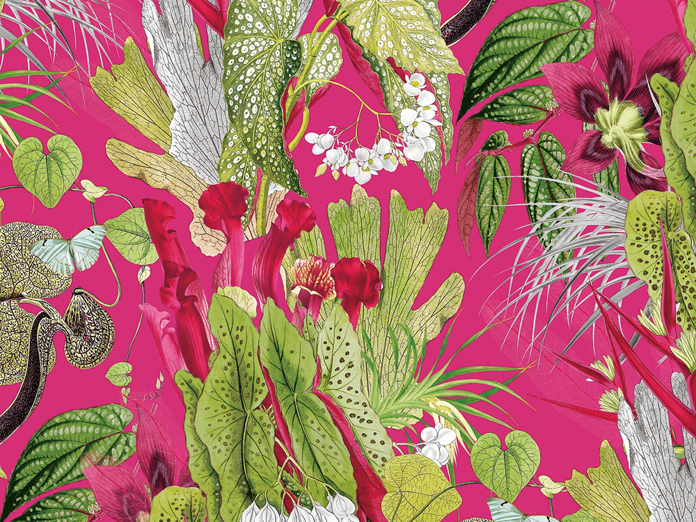 BOTANICA 8163