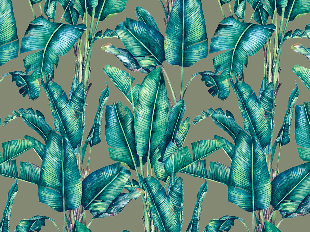 BOTANICA 8165