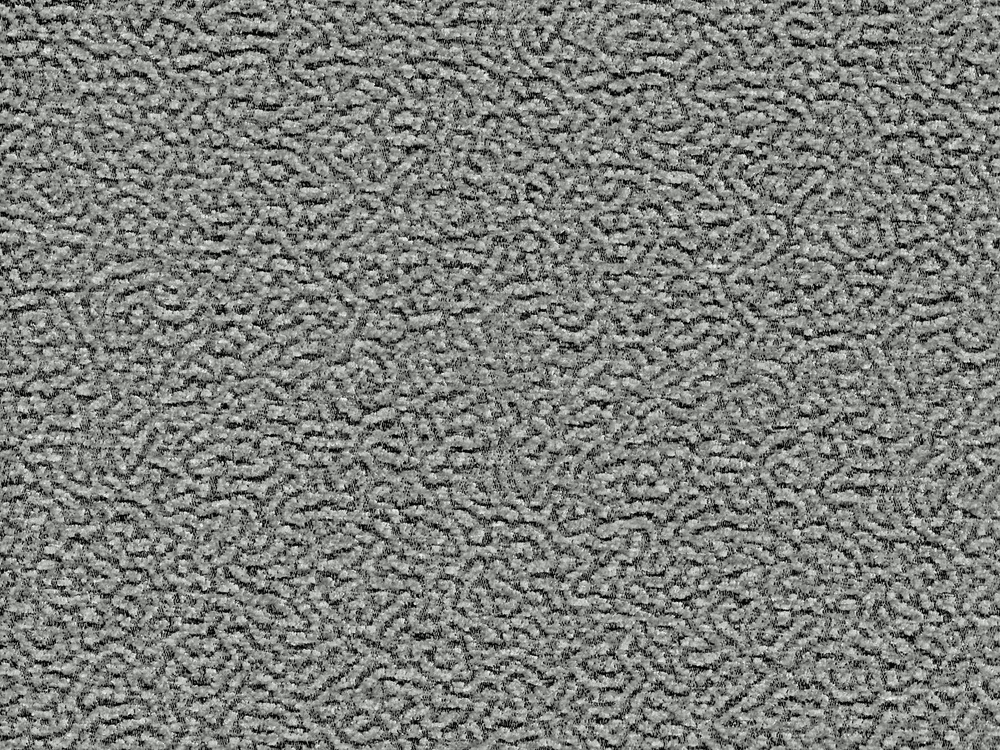 FON 2356
