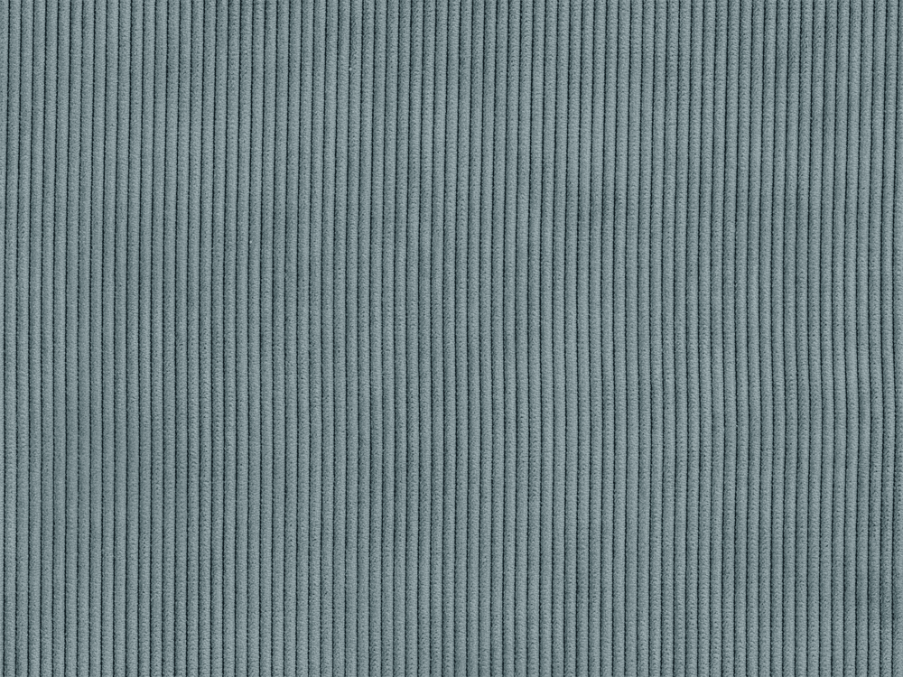 RIB2935