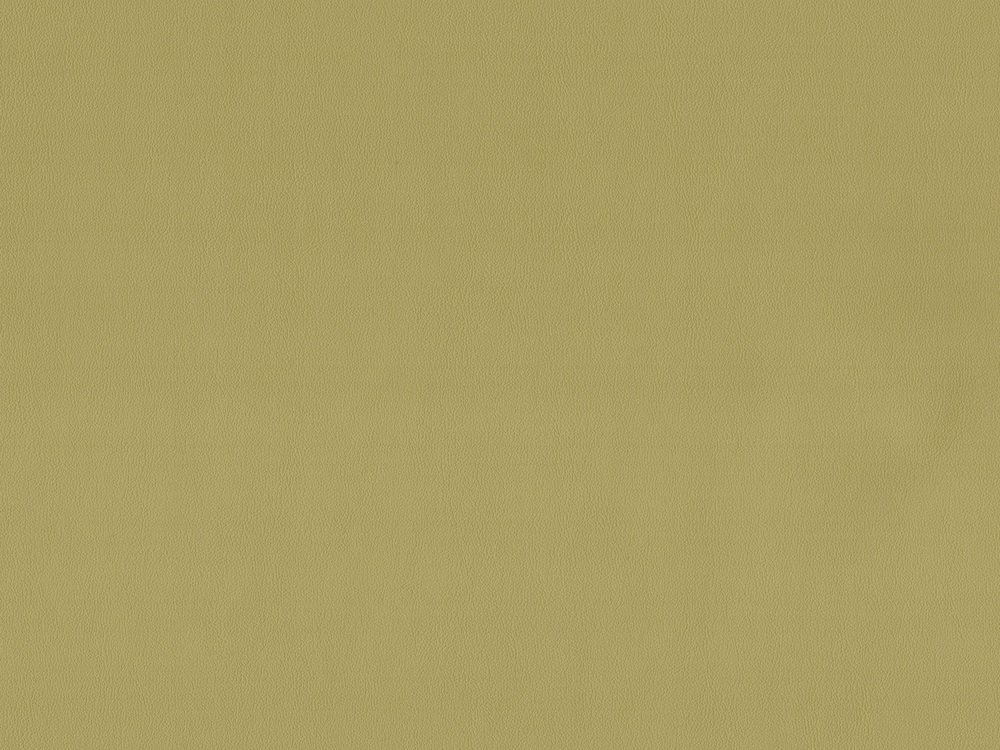 SUP2987