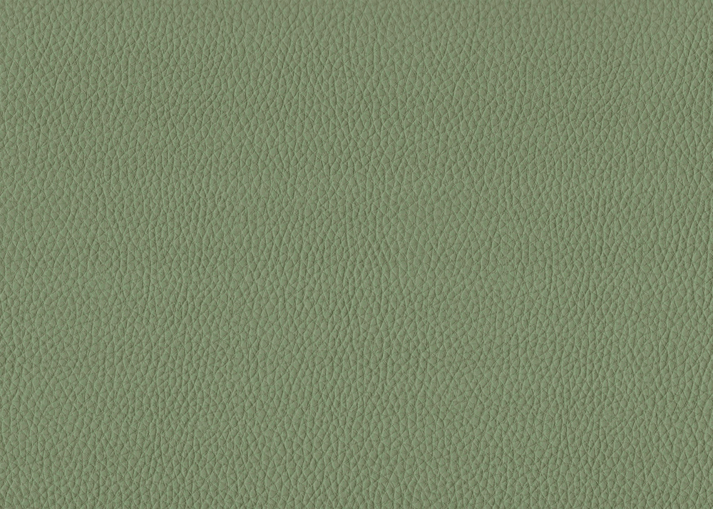 TOR 3245