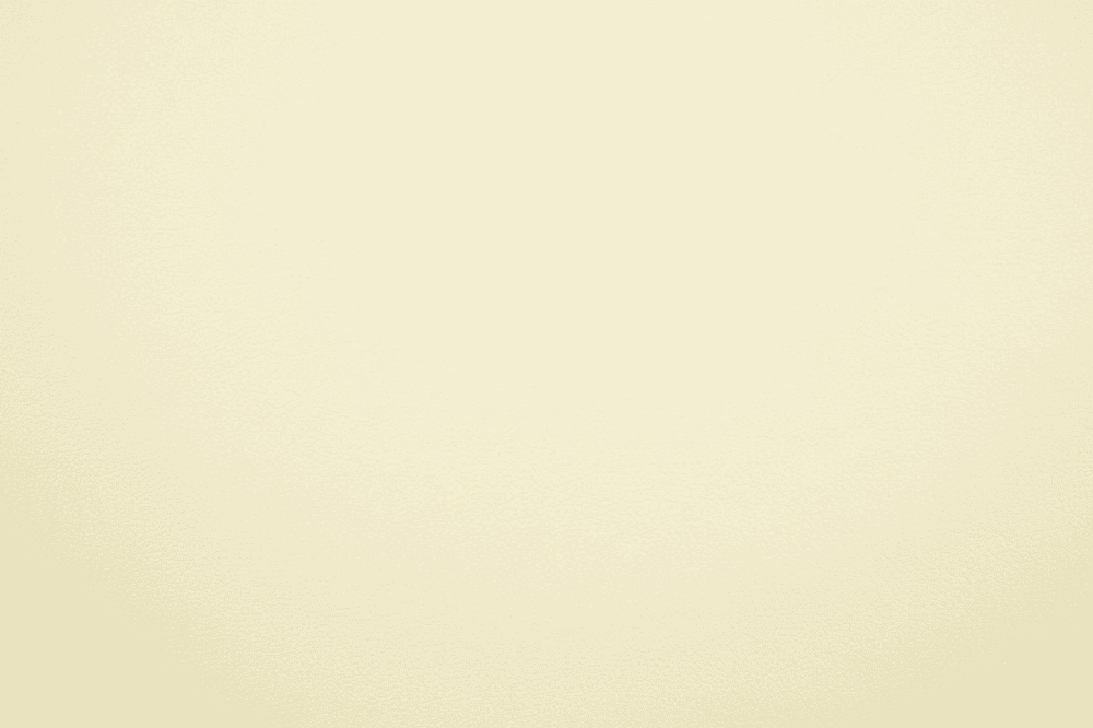 Nappa 2244a