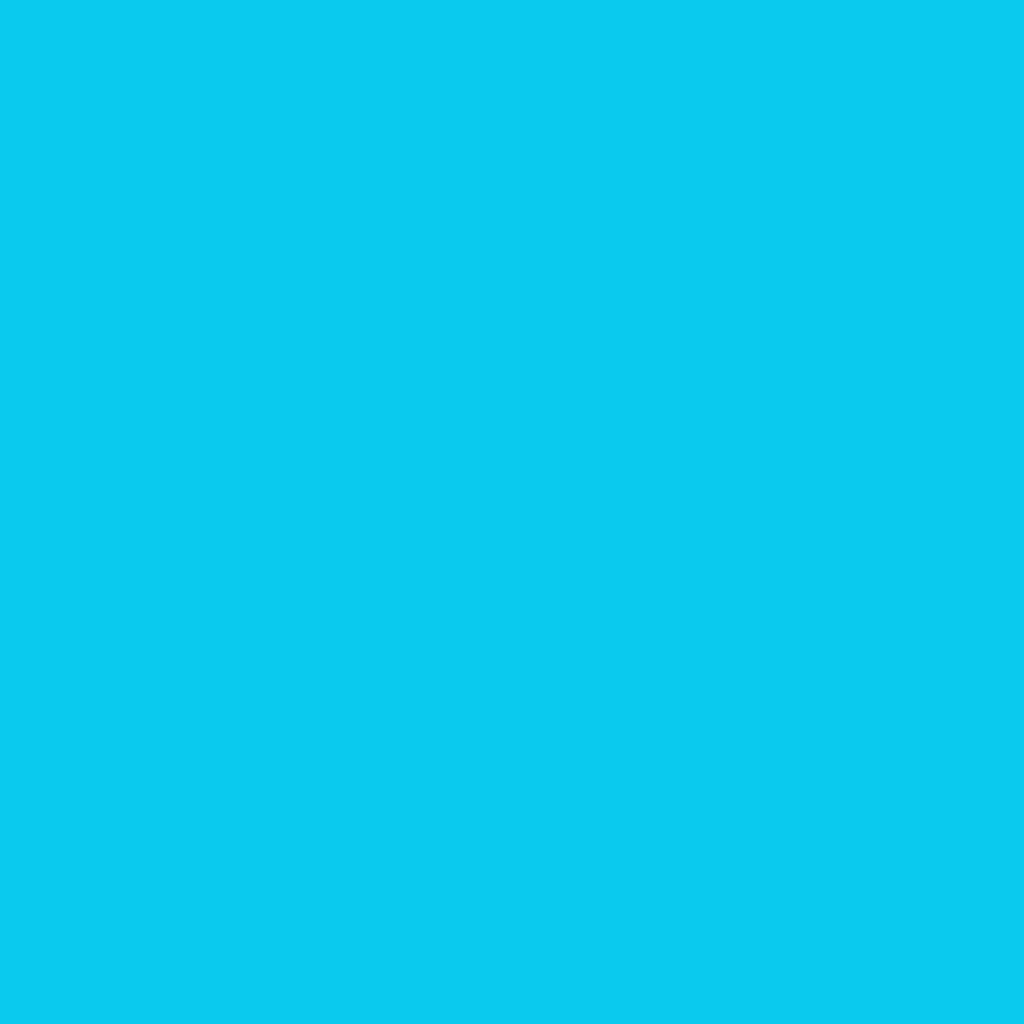 06 BLEU