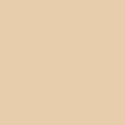 CS 211 DESERT SAND