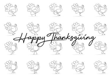 Shabbir Thanksgiving Turkey Hero BLOG