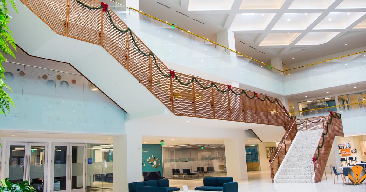 Best Railing Systems for K-12, Higher Ed and Public… | VIVA Railings