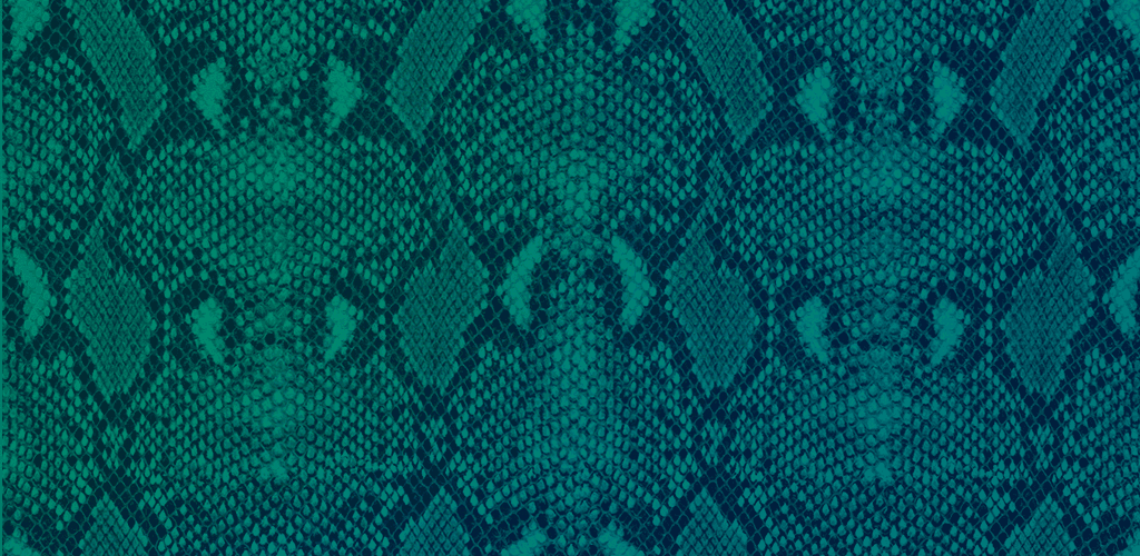 Anaconda Python scales