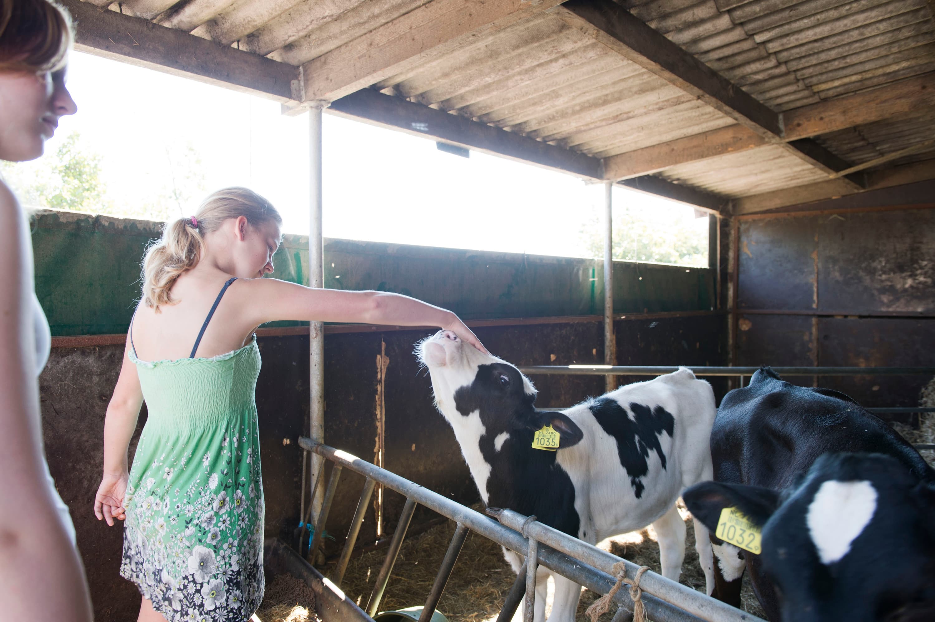 De Pieter Peit039s Hoeve 2