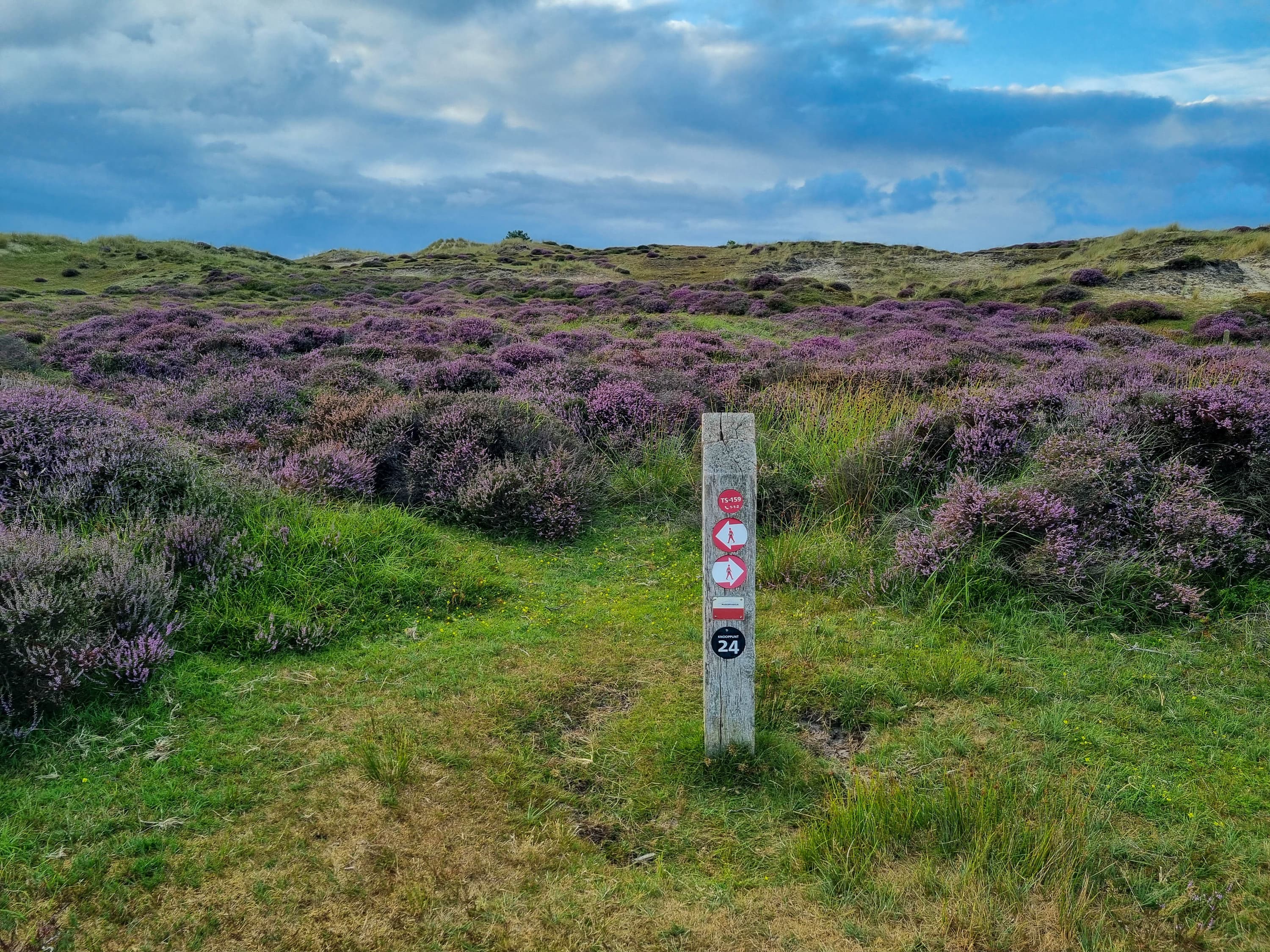 Landerumerheide Lenie de Boer 6