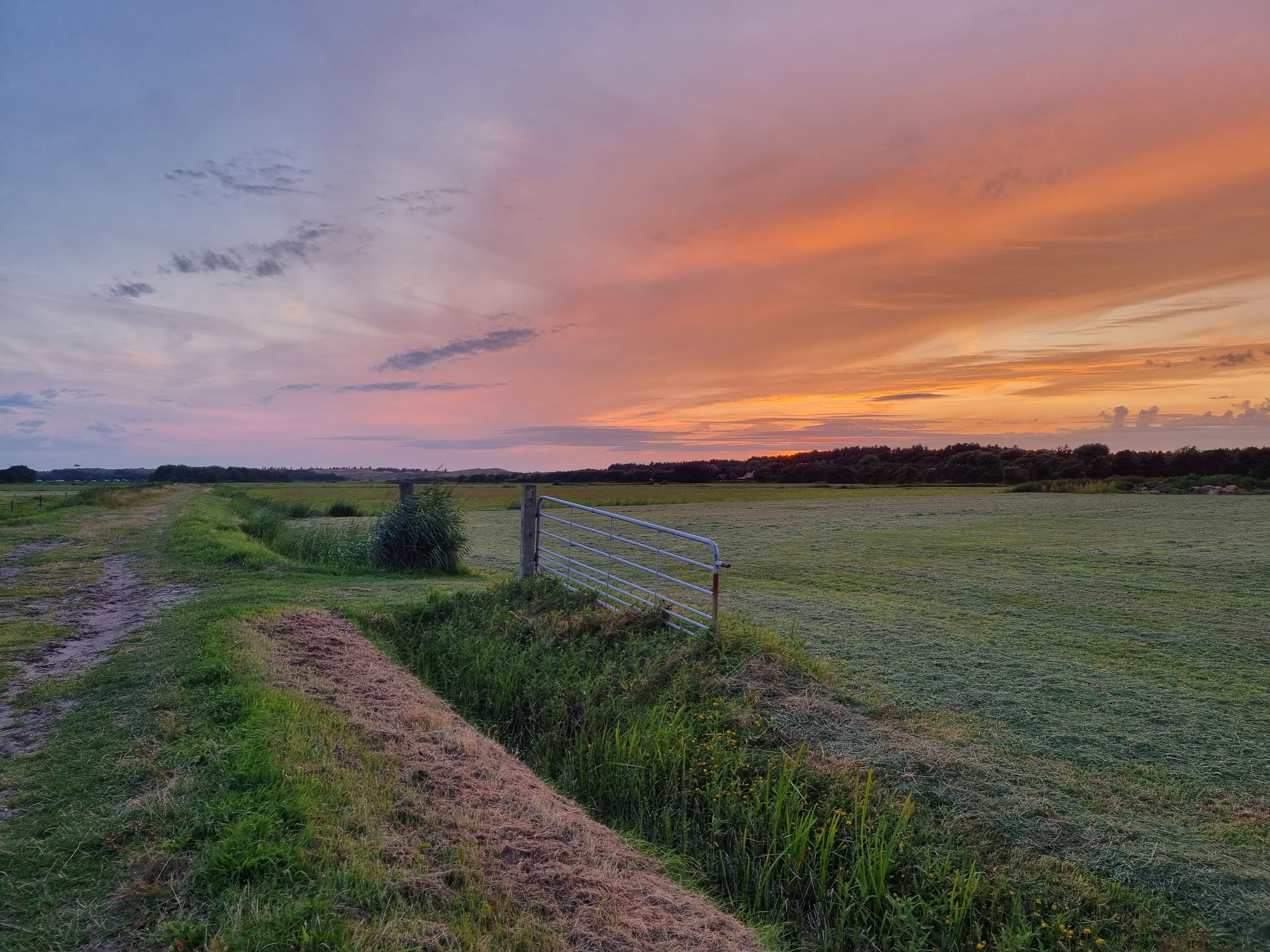 Midsland Noord
