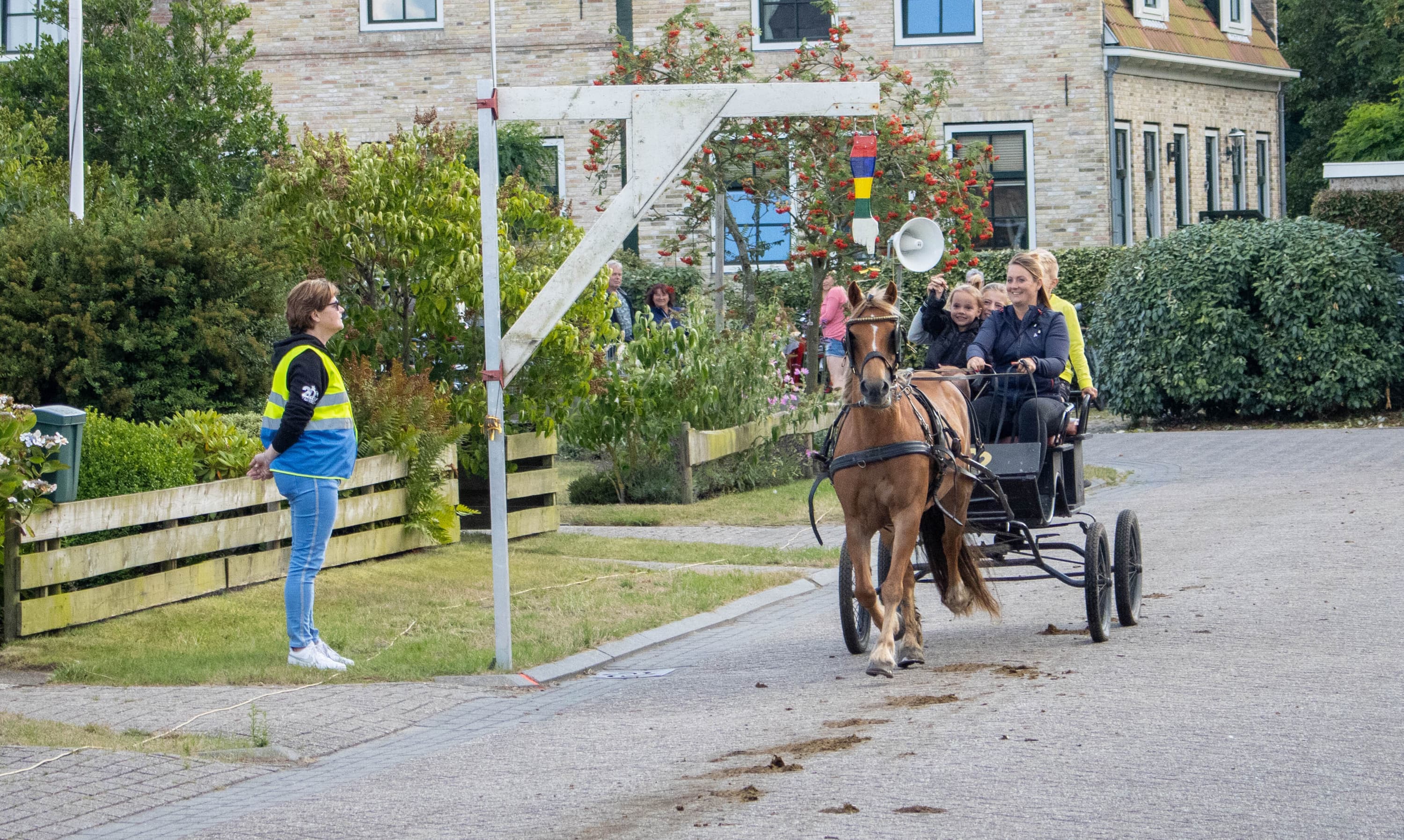 Ringsteken Hoorn Lenie de Boer 15