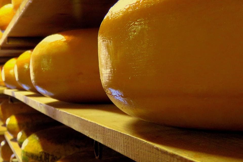 Kaasboerderij De Pieter Peit039s Hoeve