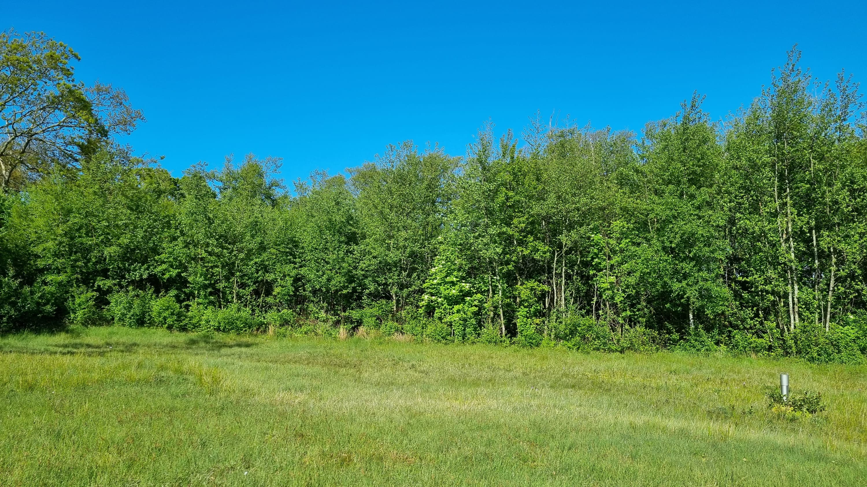 Kooibosjes Lenie de Boer 10