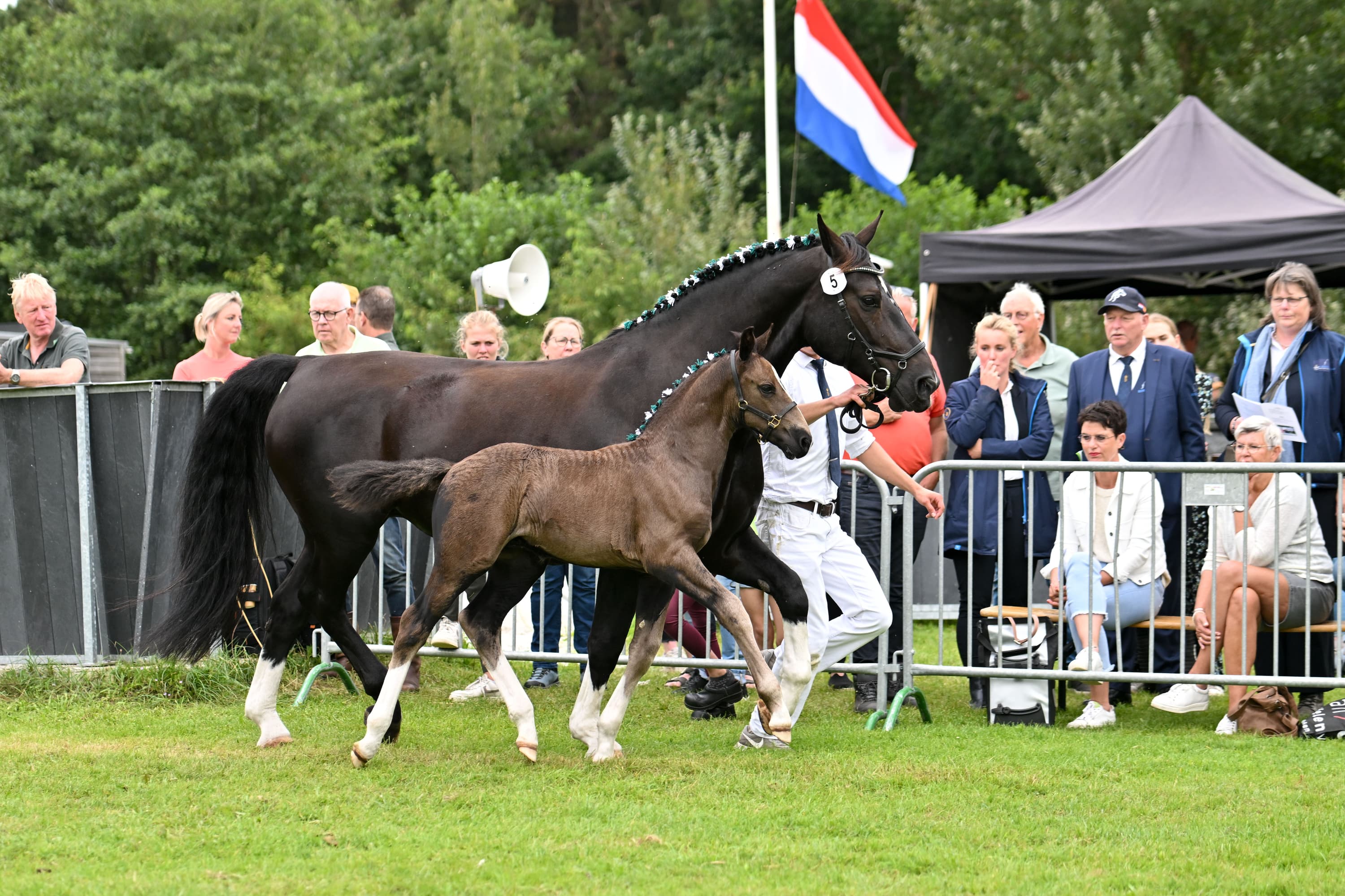 Lieuwe Lowenkoning x Ernst Johanna Faber