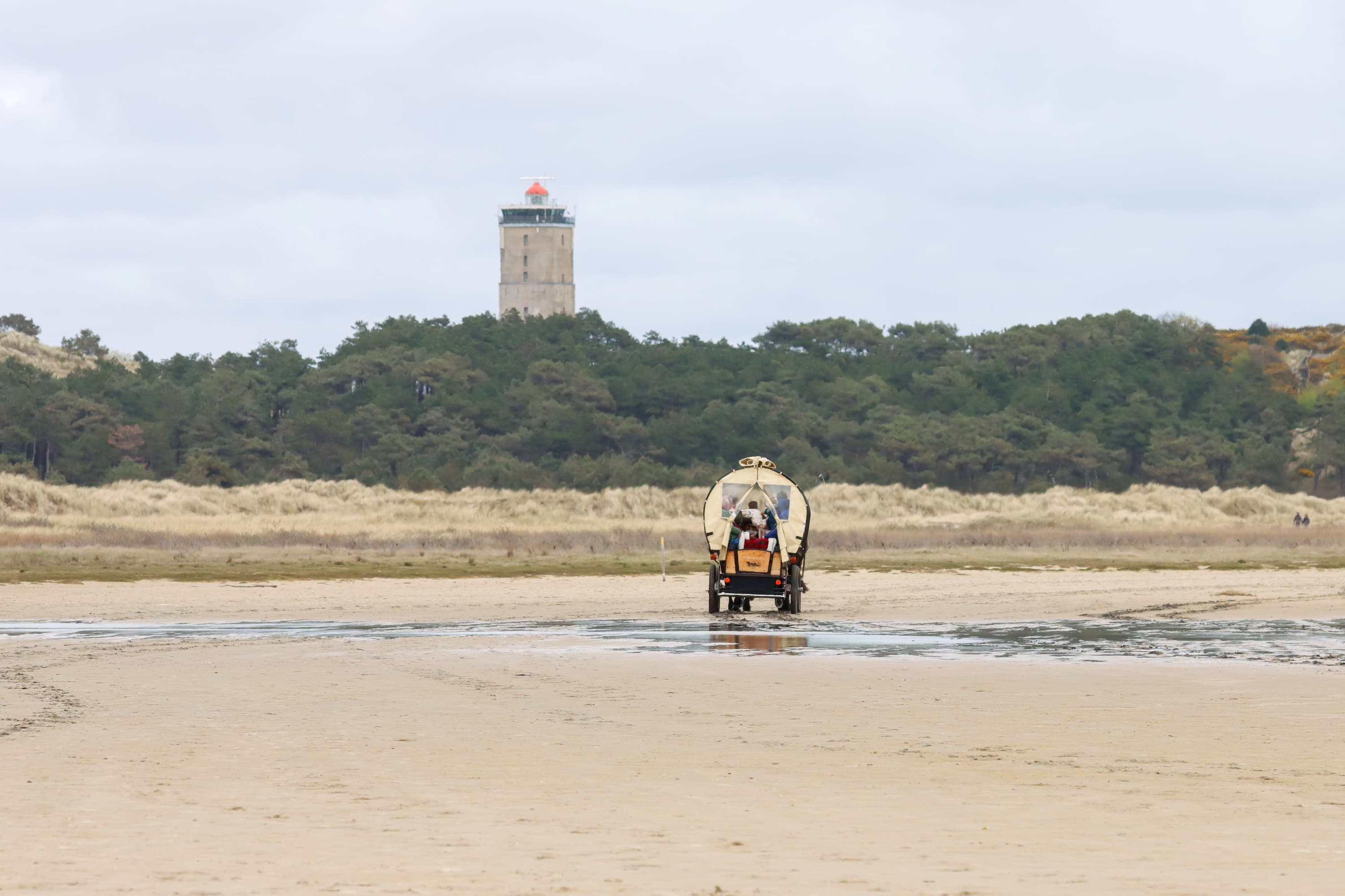 Noordsvaarderij Lenie de Boer