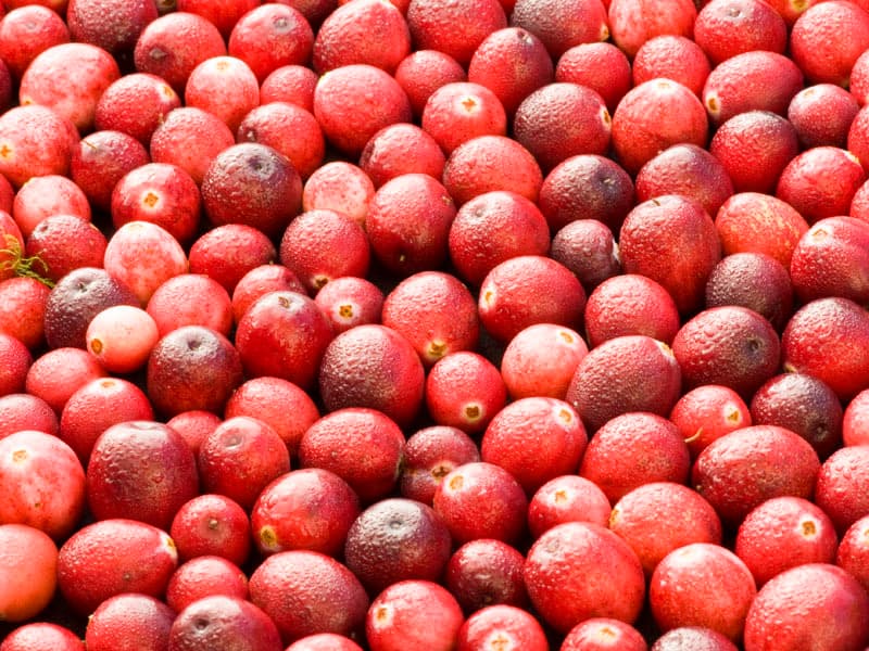 Terschelling cranberries
