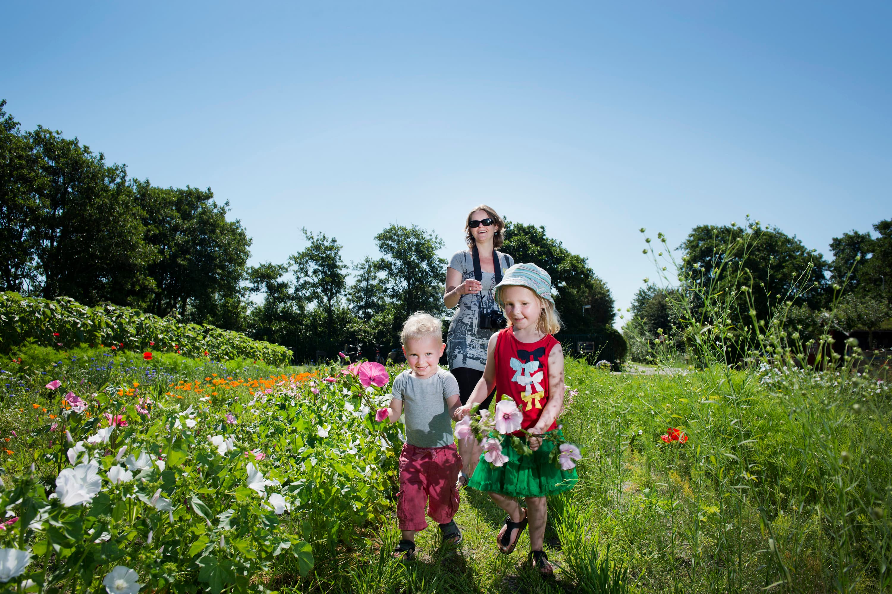 Terschelling kinderen bloemen plukken in de pluktuin Oosterend GROOT
