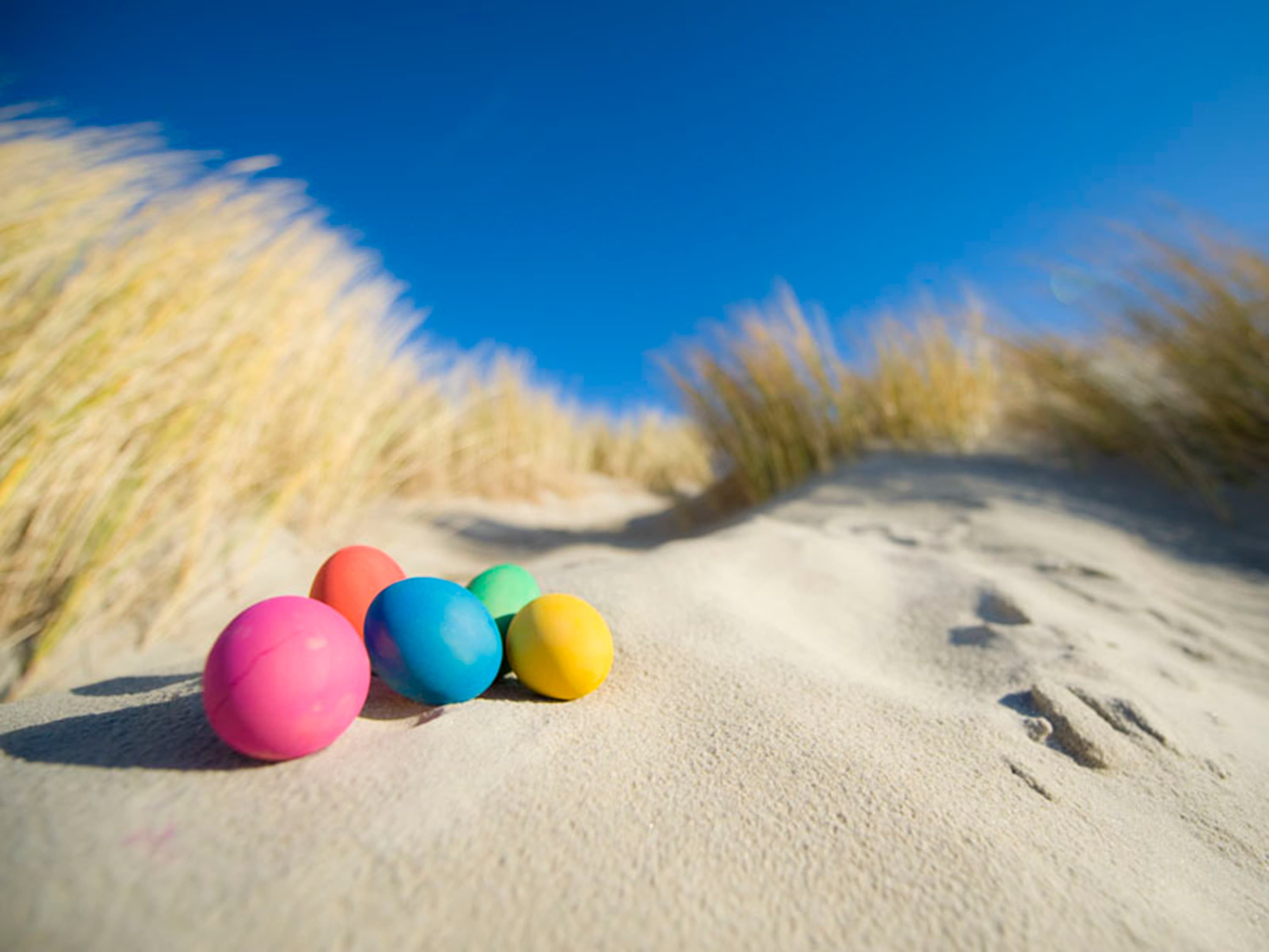 Terschelling paaseieren in het duin