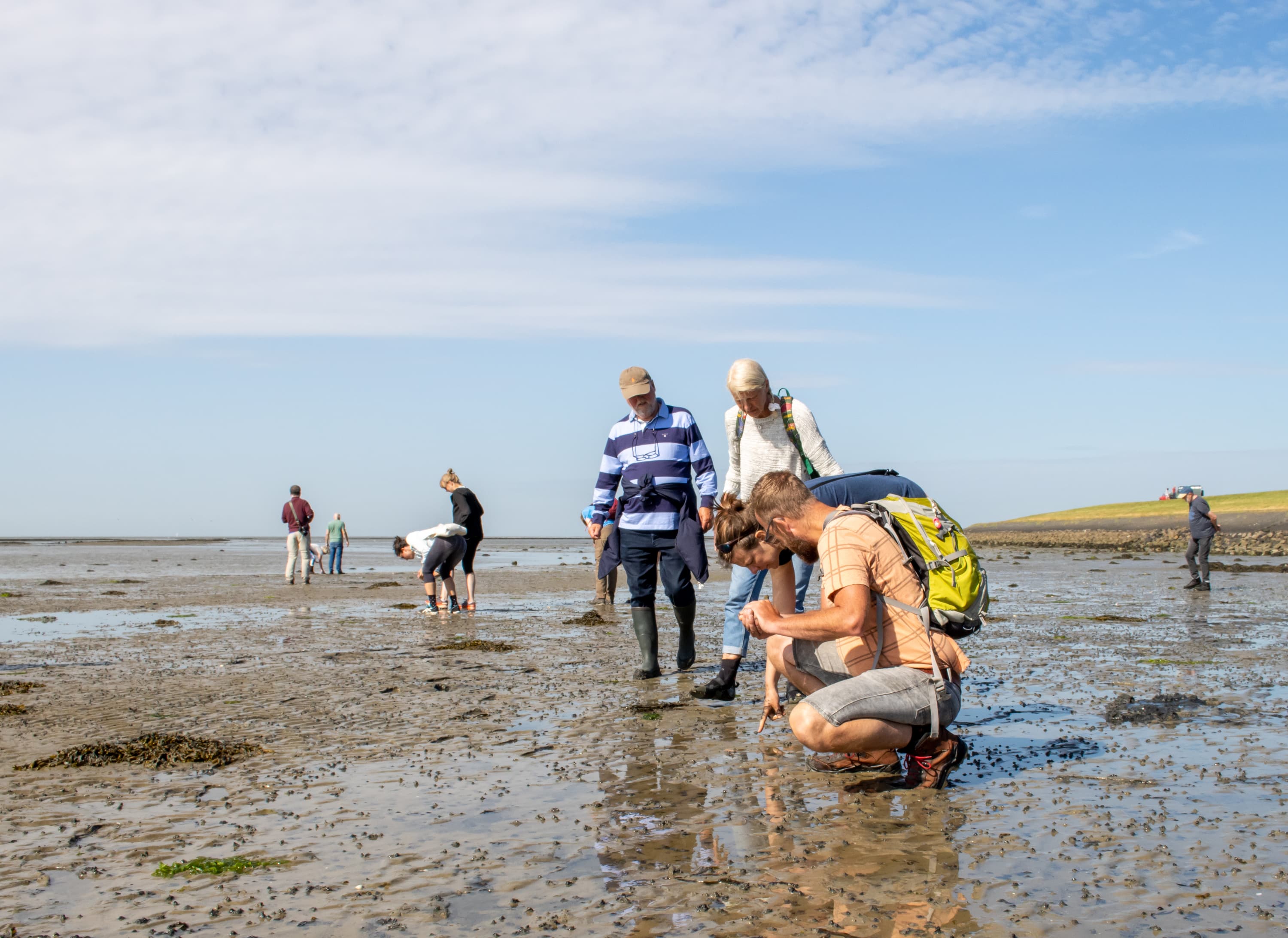 Waddenexcursie 3660