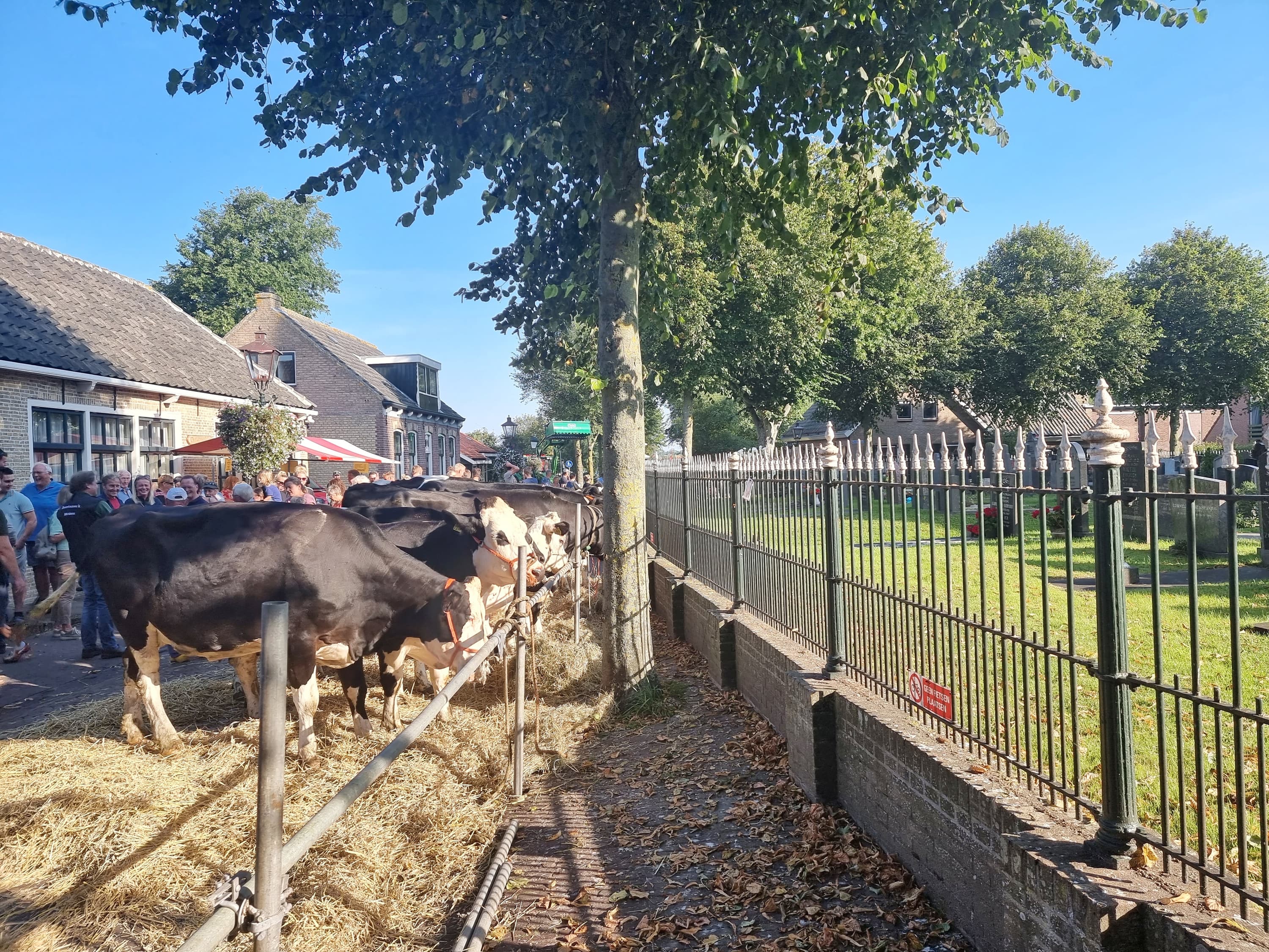 Beestemerk