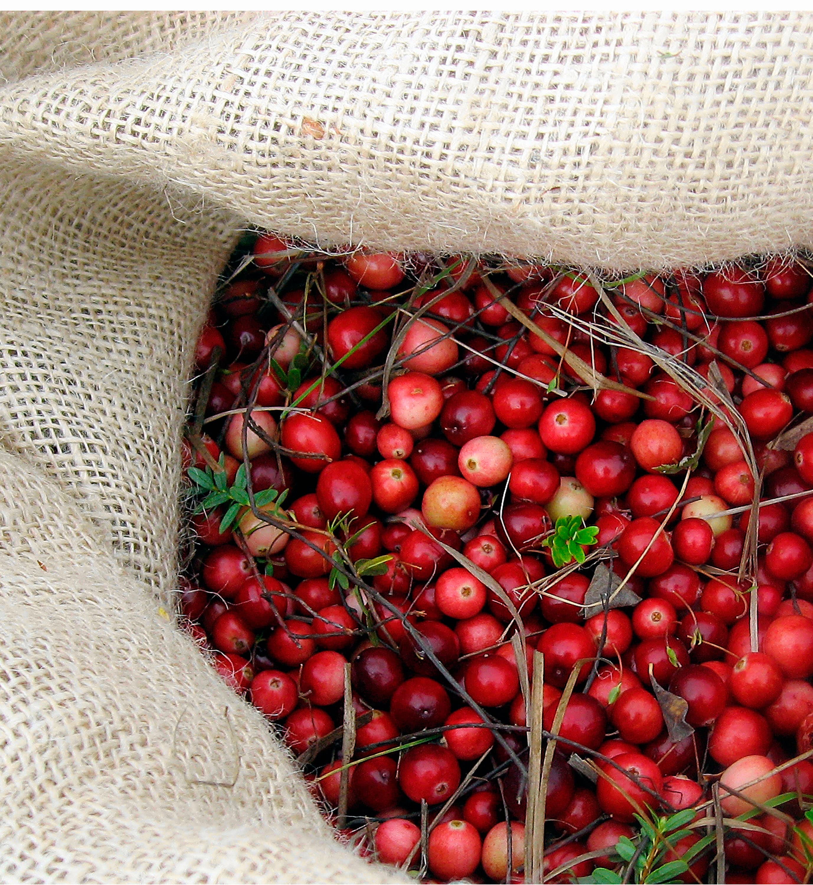 Cranberries