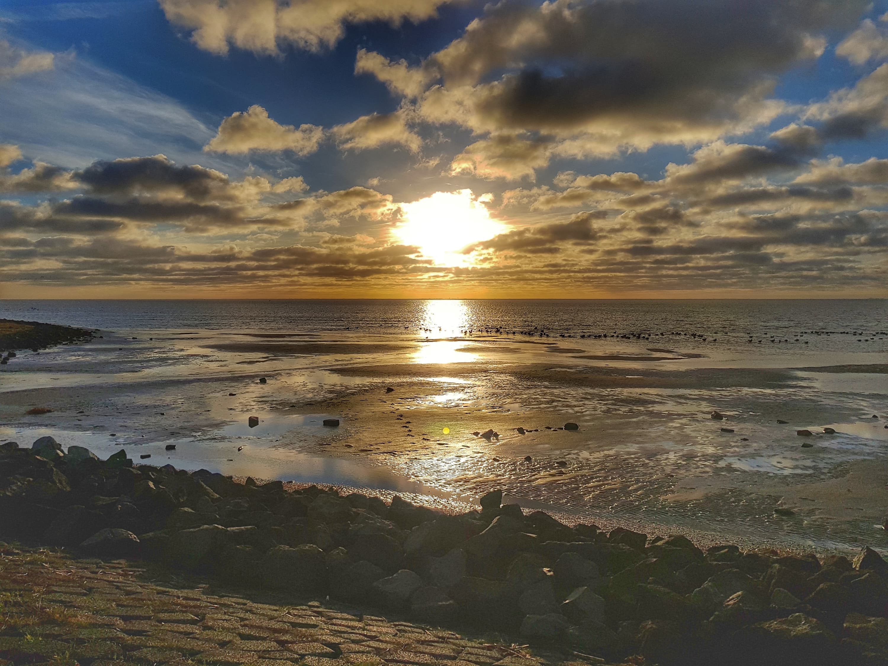 Fiets langs de waddendijk