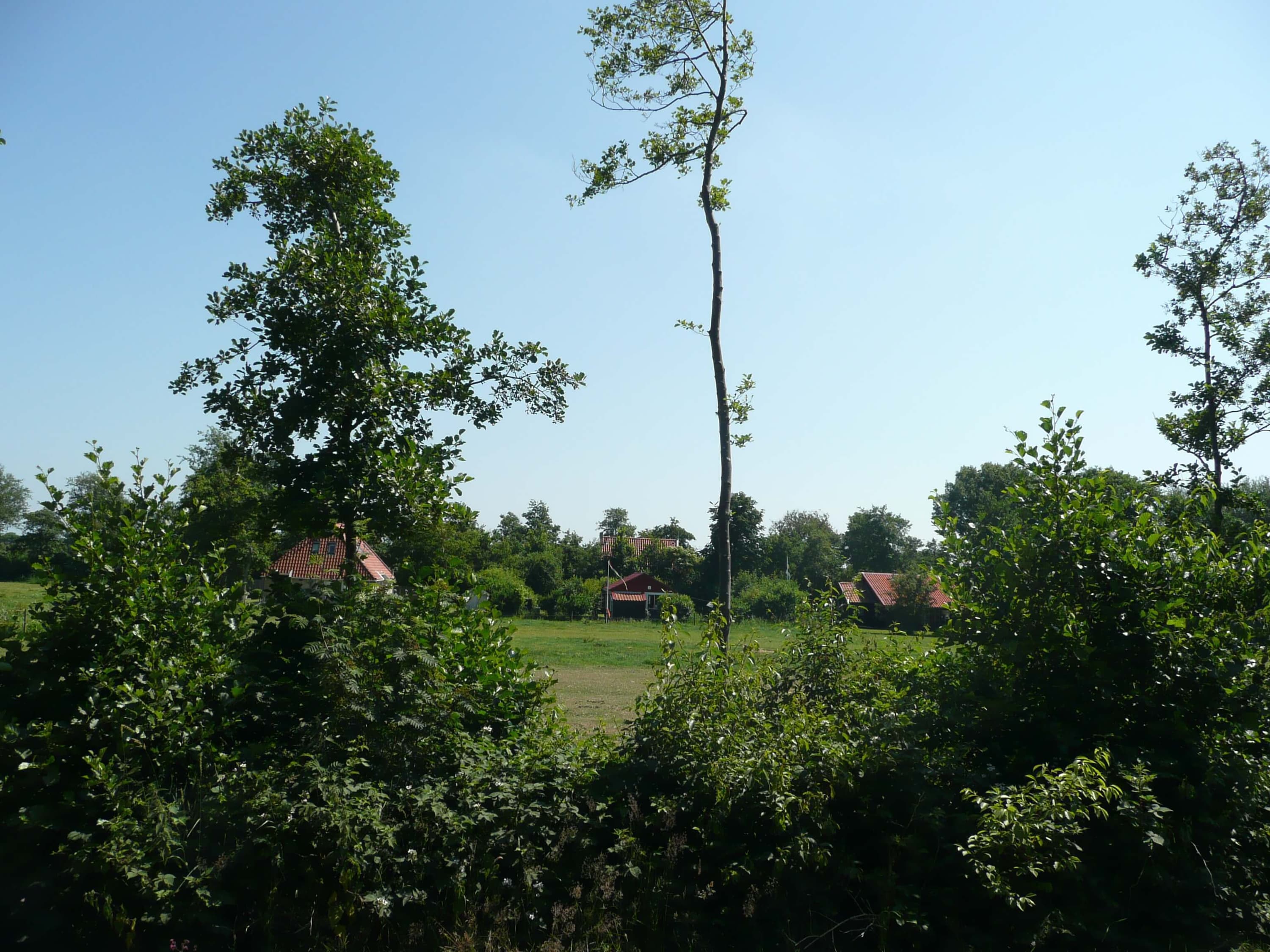 Formerum noord terschelling