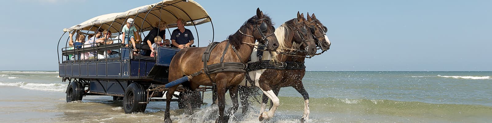 Huifkartochten paardrijden excursies en activiteiten
