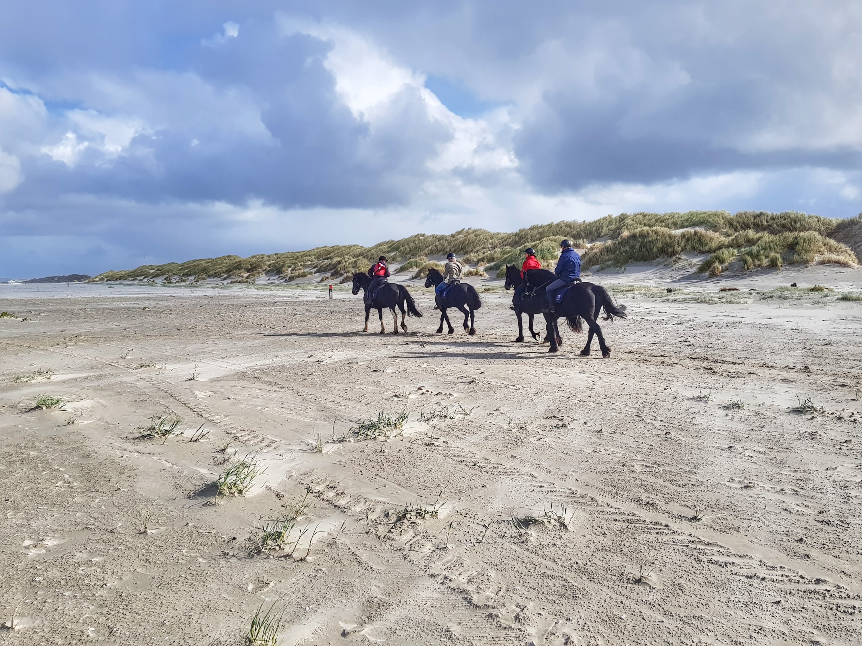 Met je eigen paard naar terschelling