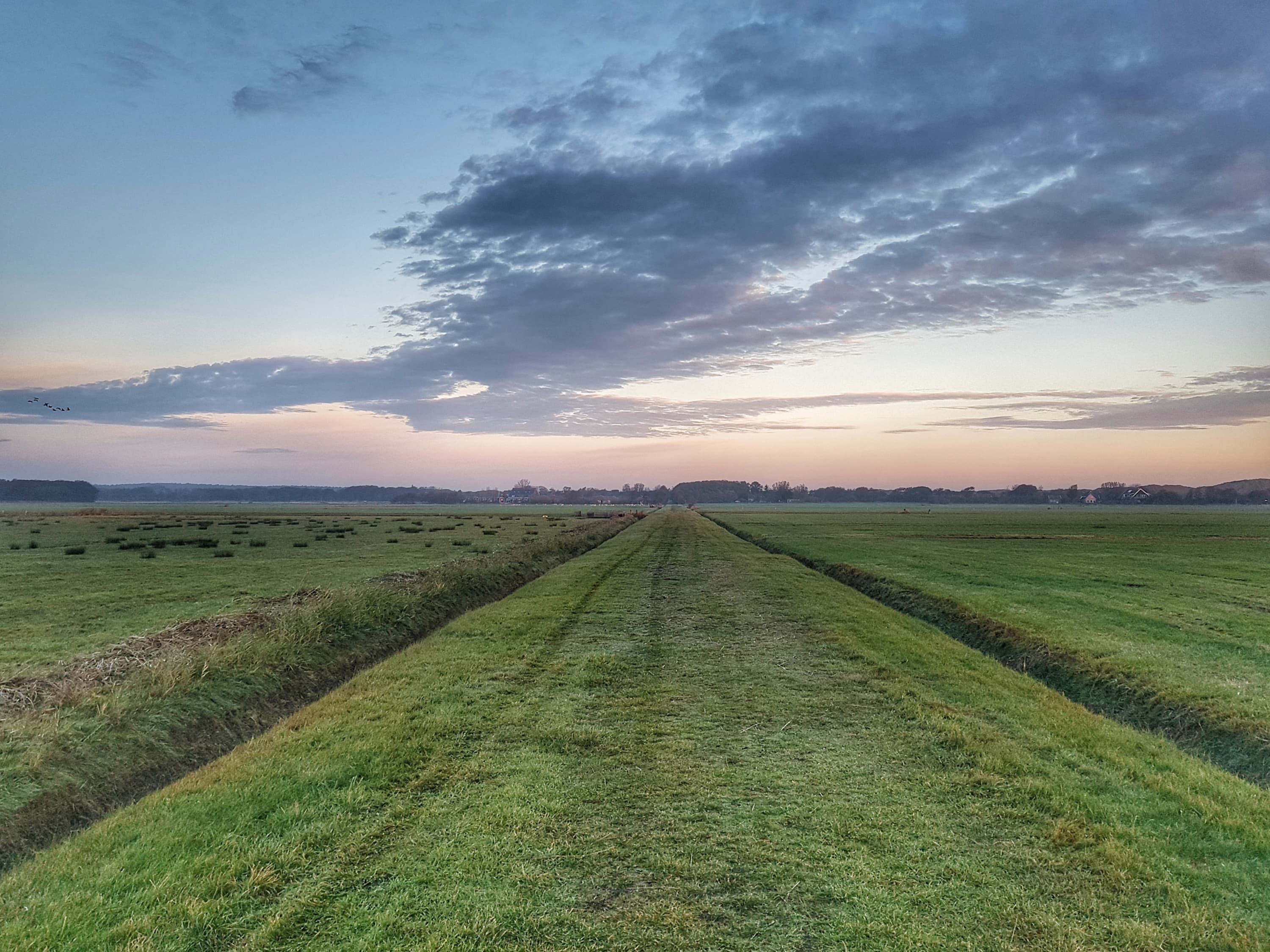 Midsland noord terschelling