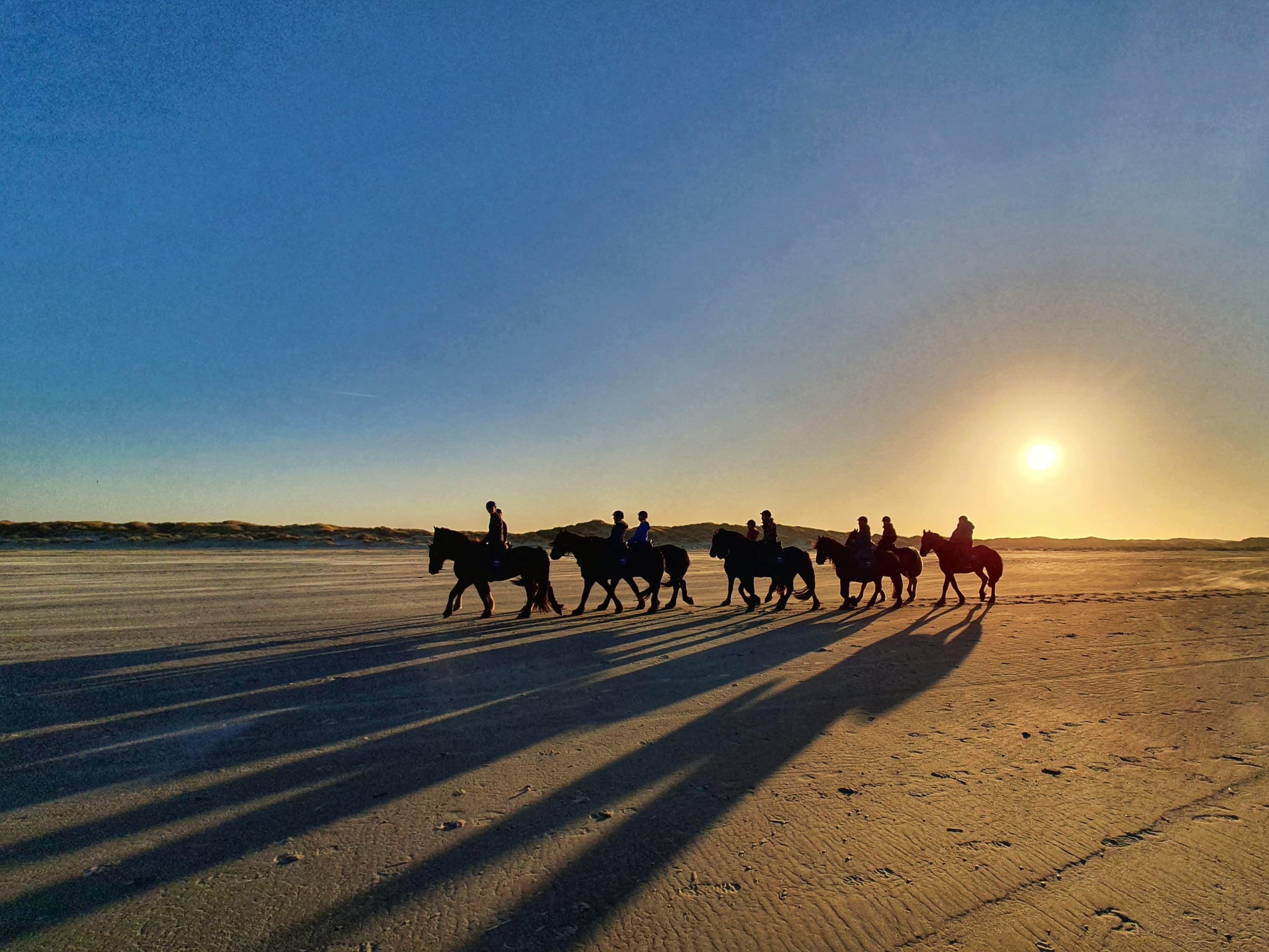 Paarden strand
