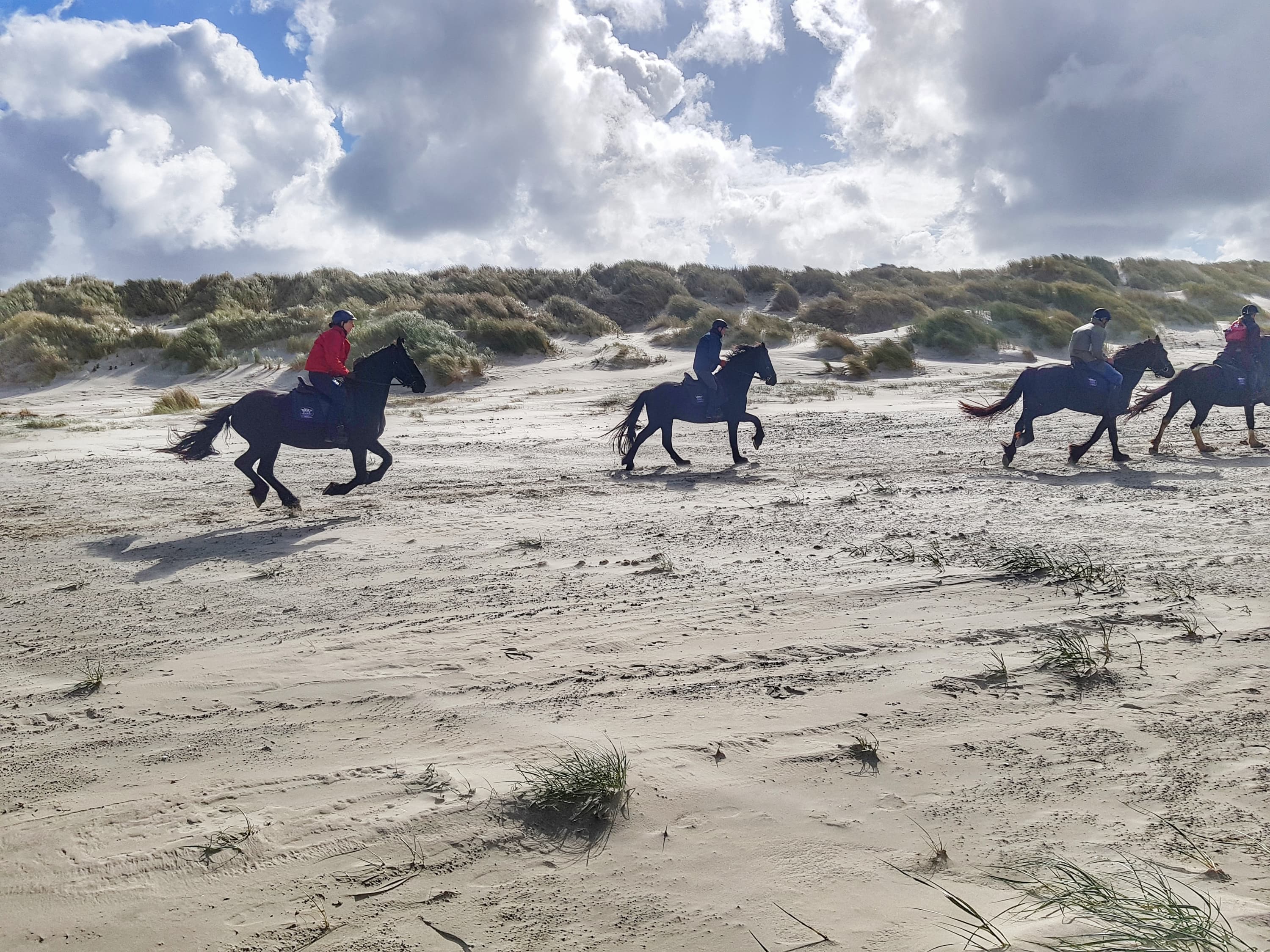 Paardrijden op terschelling